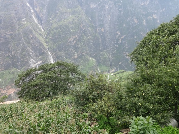2014-07-30-Gorges Tigre 09