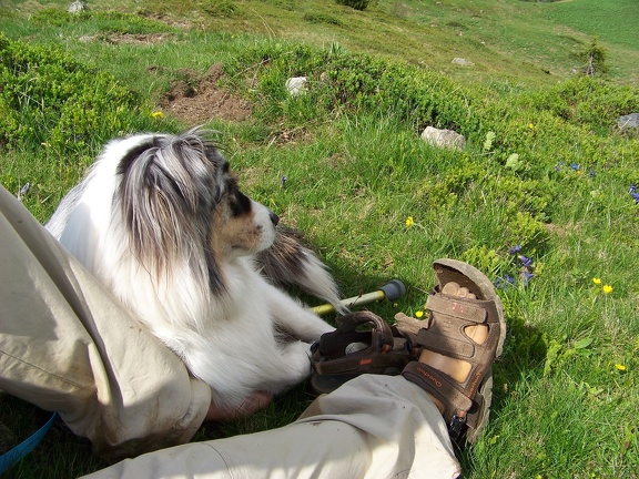 2013-06-18-Lac-Sitre49