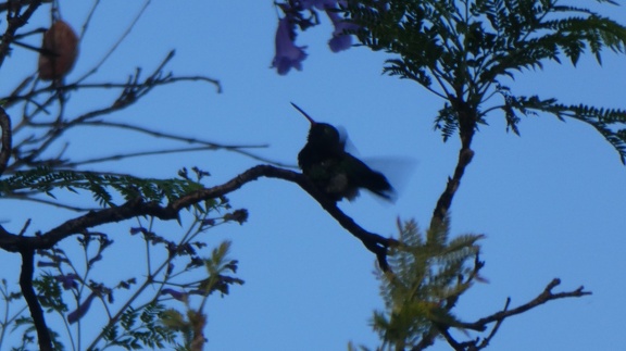 2018-10-07-Bolivie (Cochabamba)-02