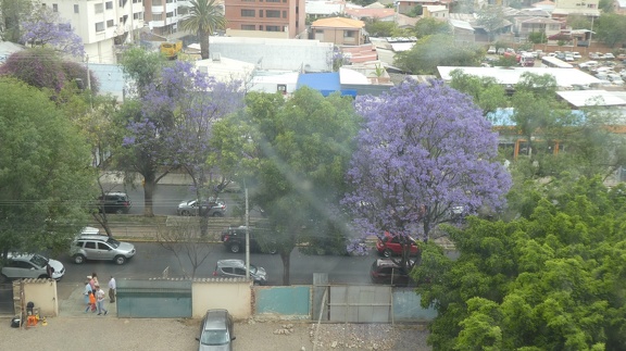 2018-10-07-Bolivie (Cochabamba)-03