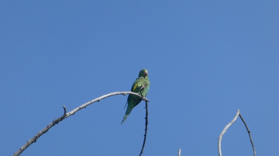 2018-10-10-Bolivie (Cochabamba)-19