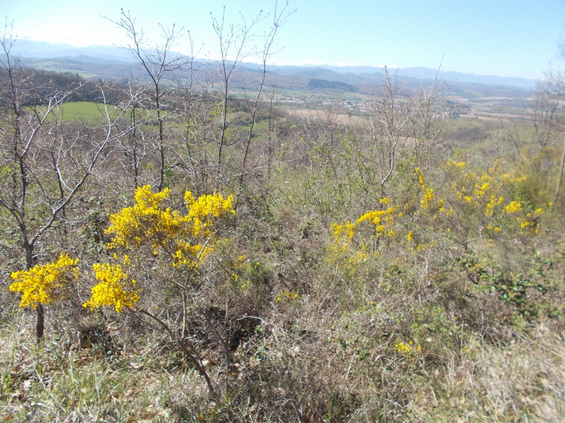 2017-04-08-Mirepoix-Vals-27.jpg