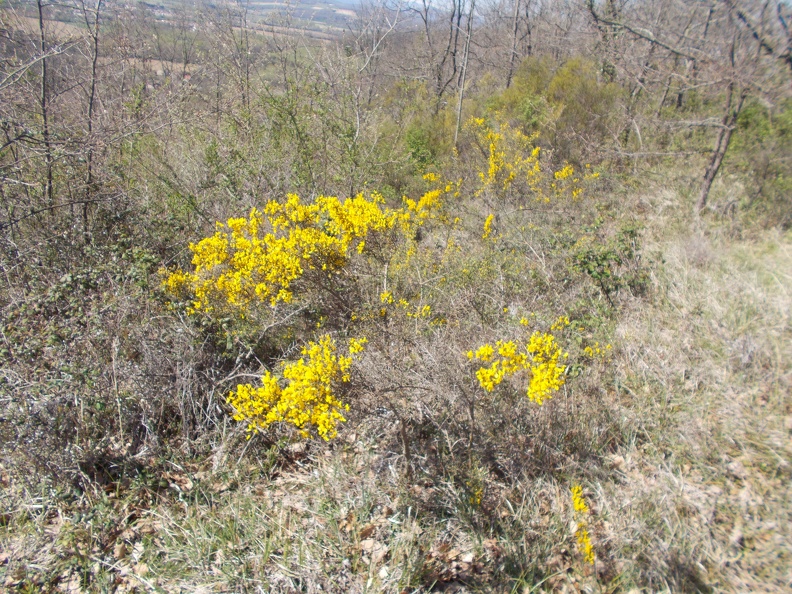 2017-04-08-Mirepoix-Vals-29.jpg