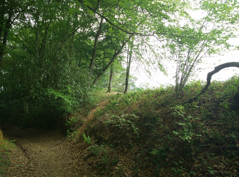 2018-05-08-Pau-Lacommande26