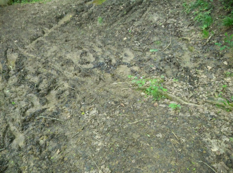 2018-05-08-Pau-Lacommande32