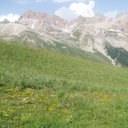 Glacier-Meije (plusieurs fois)