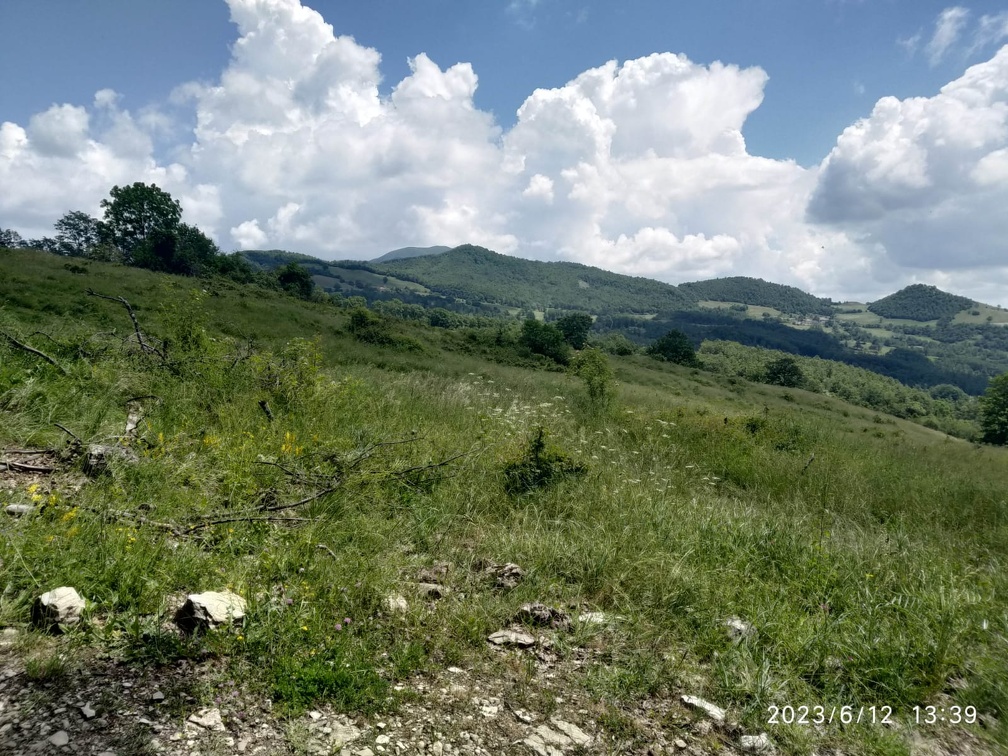 2023-06-12-Pieve-Calafonte (10)