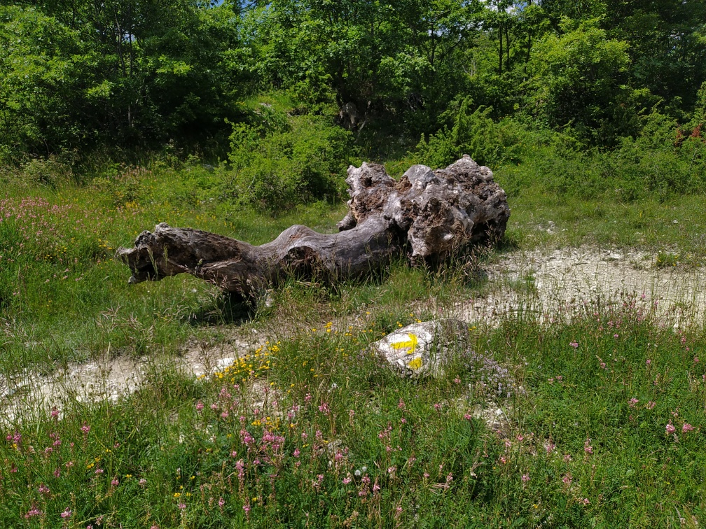 2023-06-12-Pieve-Calafonte (32)
