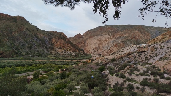 2025-04-10-Alboloduy-Nacimiento (6)