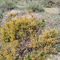 2025-04-21-Quentar-Granada (42)