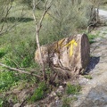 2025-04-21-Quentar-Granada (43)