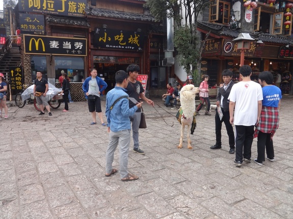 2014-07-31-Lijiang 45