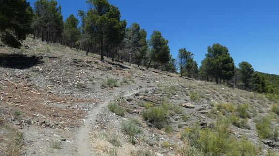 2019-05-30-Alquife-Cogollos-79