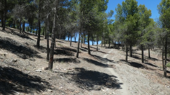 2019-05-30-Alquife-Cogollos-80
