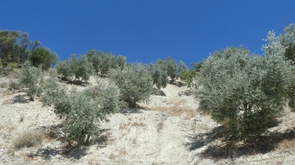 2019-06-11-Alcala-dehors-26
