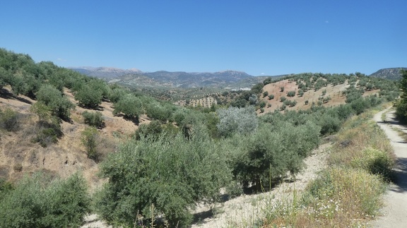 2019-06-11-Alcala-dehors-30