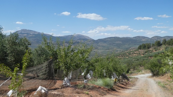 2019-06-11-Alcala-dehors-31