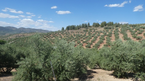 2019-06-11-Alcala-dehors-32