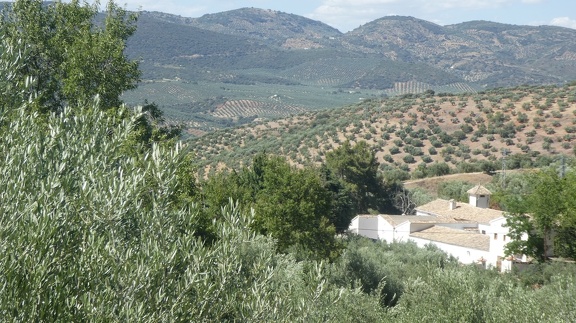 2019-06-11-Alcala-dehors-33