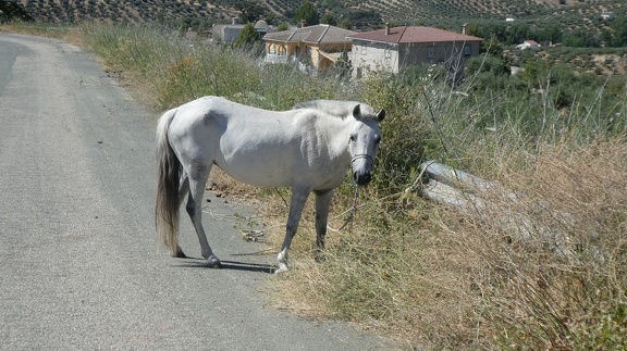 2019-06-11-Alcala-dehors-35