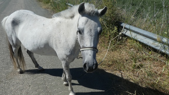 2019-06-11-Alcala-dehors-36