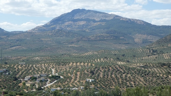 2019-06-11-Alcala-dehors-38