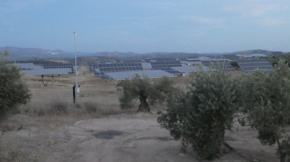 2019-06-13-Alcaudete-Baena-07