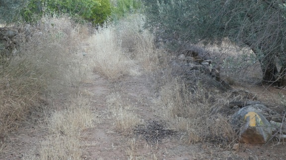 2019-06-13-Alcaudete-Baena-11