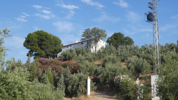 2019-06-13-Alcaudete-Baena-15