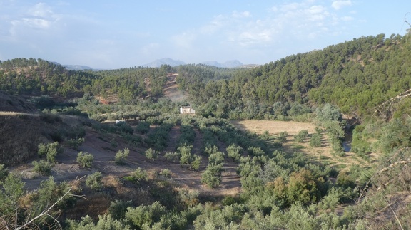 2019-06-13-Alcaudete-Baena-16