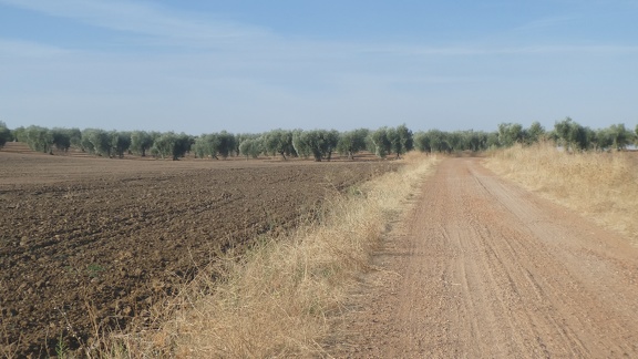 2020-09-12-Mozarabe-AP-05 (SanPedro-Merida)