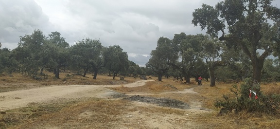 2020-09-23-Mozarabe-SM-05 (Carcaboso-Caparra)