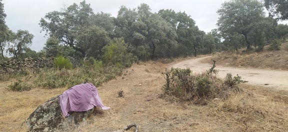 2020-09-23-Mozarabe-SM-06 (Carcaboso-Caparra)