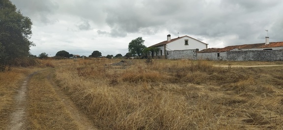 2020-09-23-Mozarabe-SM-10 (Carcaboso-Caparra)