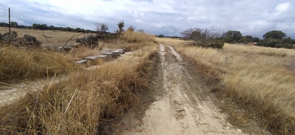 2020-09-23-Mozarabe-SM-11 (Carcaboso-Caparra)