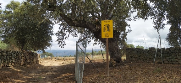 2020-09-23-Mozarabe-SM-16 (Carcaboso-Caparra)