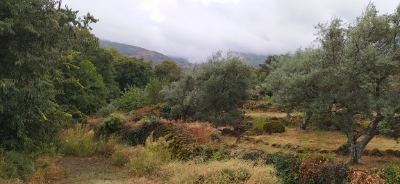 2020-09-24-Mozarabe-SM-03 (hotel-Aldeanueva)