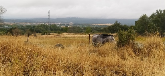 2020-09-24-Mozarabe-SM-04 (hotel-Aldeanueva)