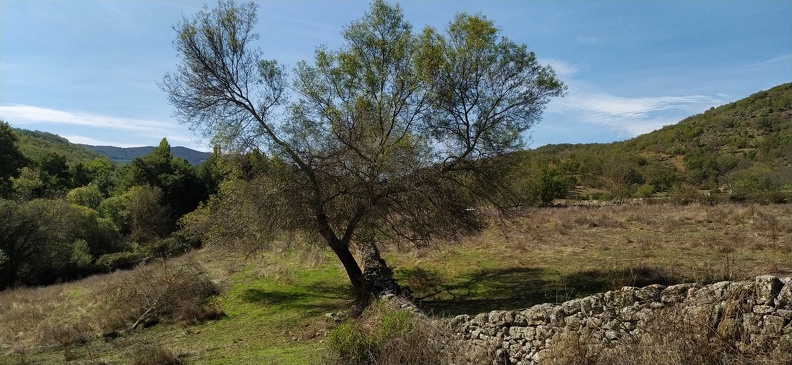2020-09-26-Mozarabe-SM-34 (Banos-Calzada).jpg