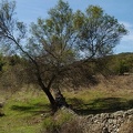 2020-09-26-Mozarabe-SM-34 (Banos-Calzada)