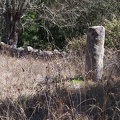 2020-09-26-Mozarabe-SM-37 (Banos-Calzada)