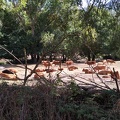 2020-09-26-Mozarabe-SM-38 (Banos-Calzada)