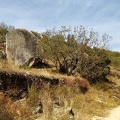 2020-09-26-Mozarabe-SM-44 (Banos-Calzada)