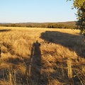 2020-09-28-Mozarabe-SM-03 (Calzada-Fuenterobble)