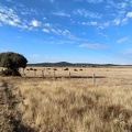 2020-09-29-Mozarabe-SM-14 (Fuenterobble-Pedrosillo)