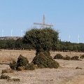 2020-09-29-Mozarabe-SM-17 (Fuenterobble-Pedrosillo)
