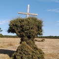 2020-09-29-Mozarabe-SM-25 (Fuenterobble-Pedrosillo)