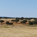 2020-09-30-Mozarabe-SM-12 (Pedrosillo-SanPedro)