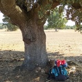 2020-09-30-Mozarabe-SM-13 (Pedrosillo-SanPedro)