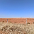 2020-09-30-Mozarabe-SM-14 (Pedrosillo-SanPedro)